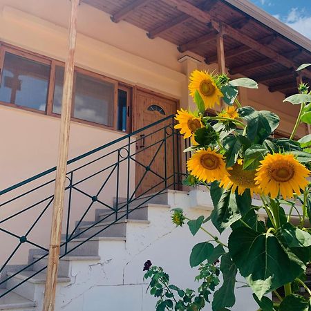 شقة Bokas Exotic House Tragana  المظهر الخارجي الصورة