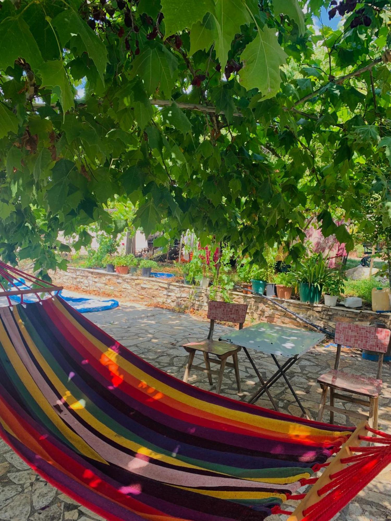 شقة Bokas Exotic House Tragana  المظهر الخارجي الصورة