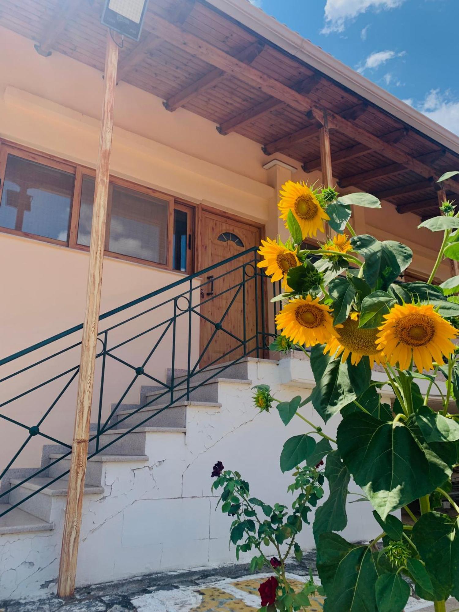 شقة Bokas Exotic House Tragana  المظهر الخارجي الصورة